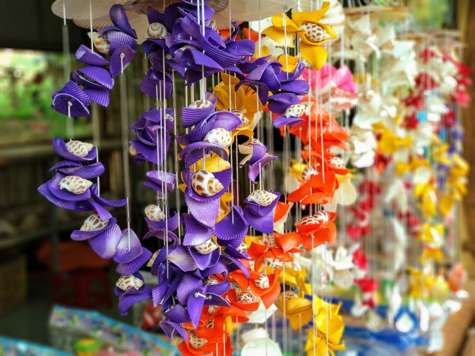 bo anh xoa phong an tuong chup bang Mi A1 anh 7