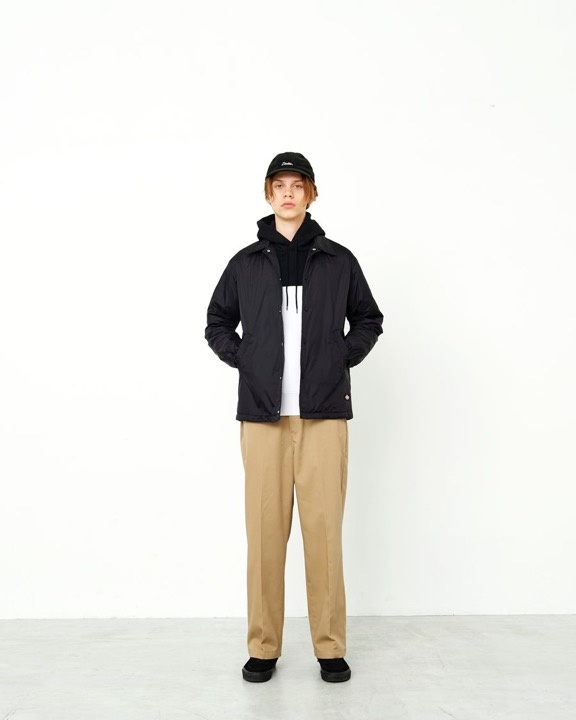 Dickies anh 3