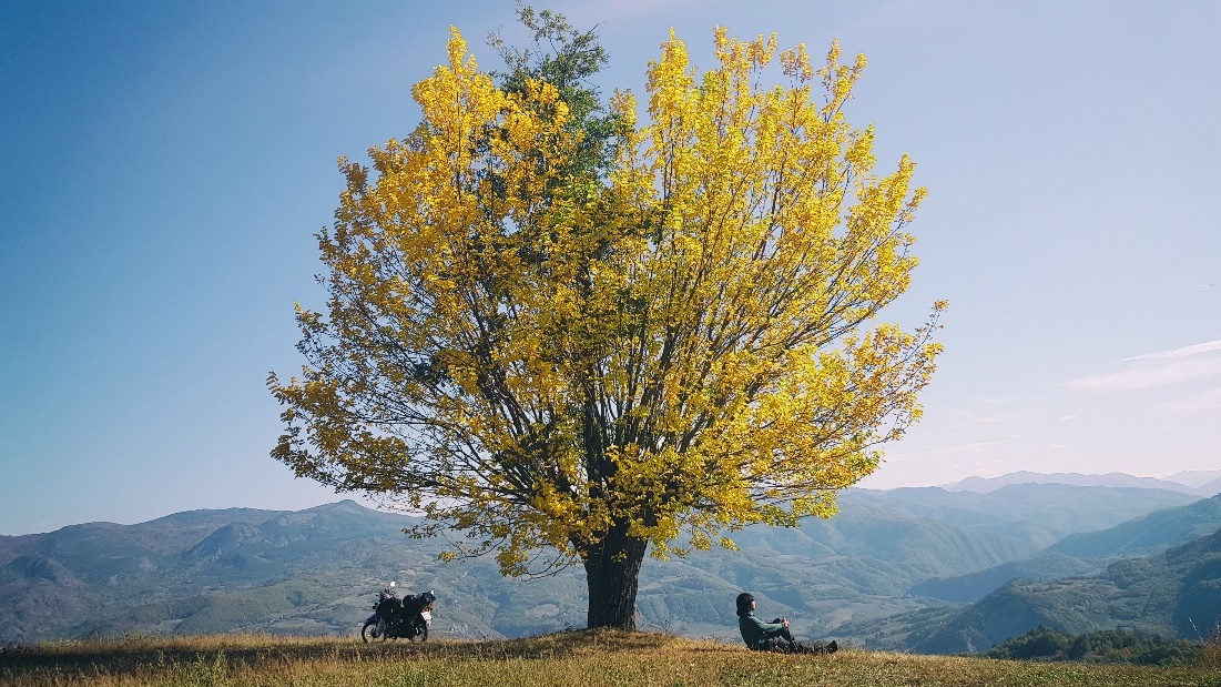 Bao hiem Liberty Viet Nam anh 2