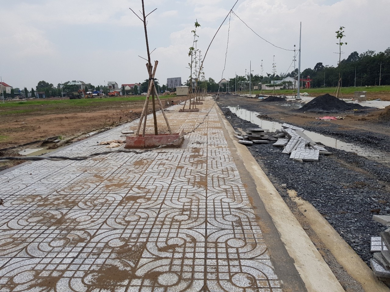 Viet Hung Phat anh 1