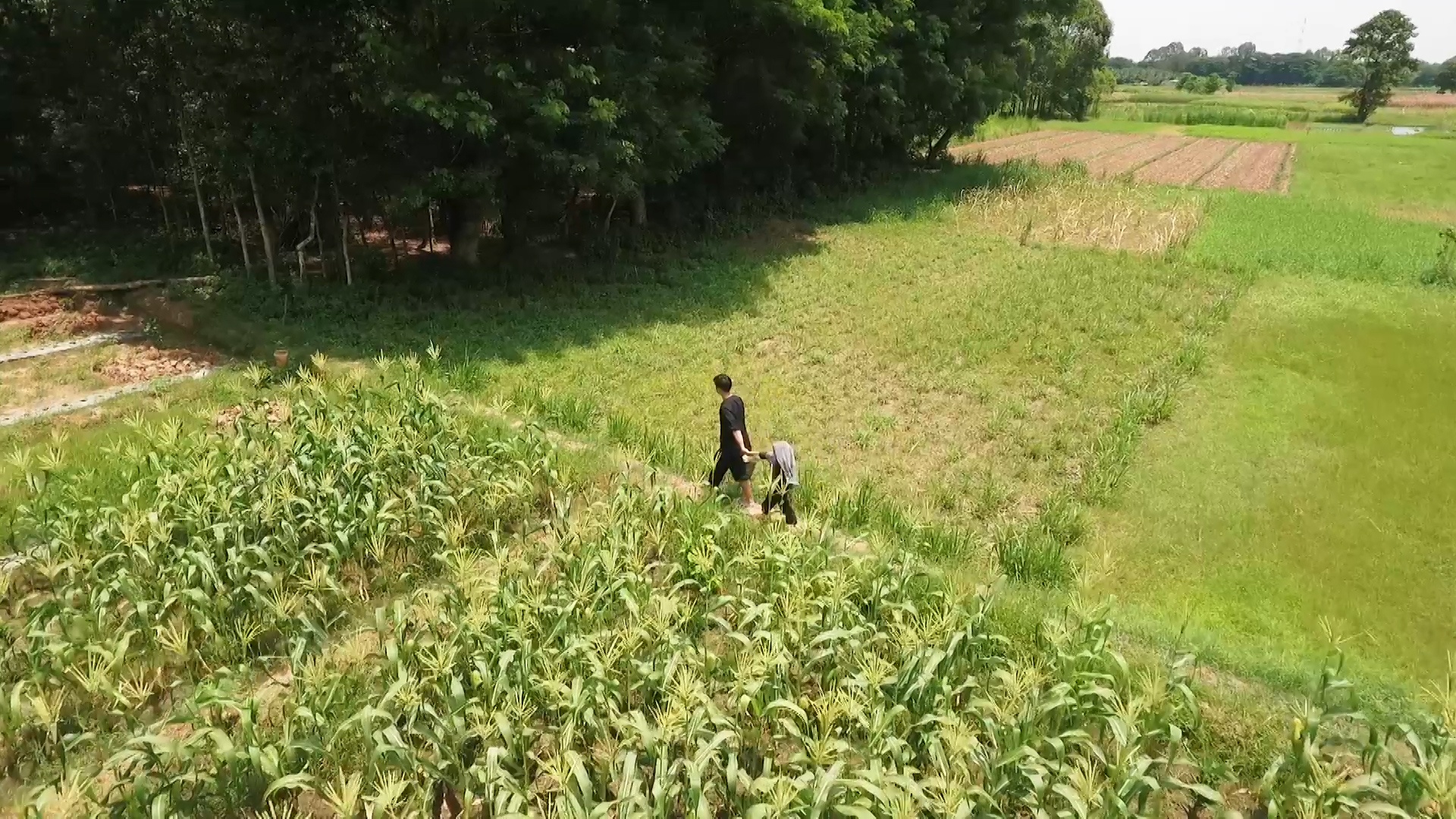 ‘Bo oi minh di dau the’ tap 12: Cha con Kitty om ga luoc bo tron hinh anh