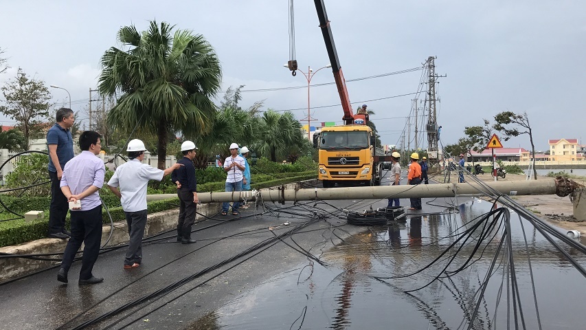 EVN tập trung điện cho APEC ảnh 1 EVN tap trung dien cho APEC anh 1