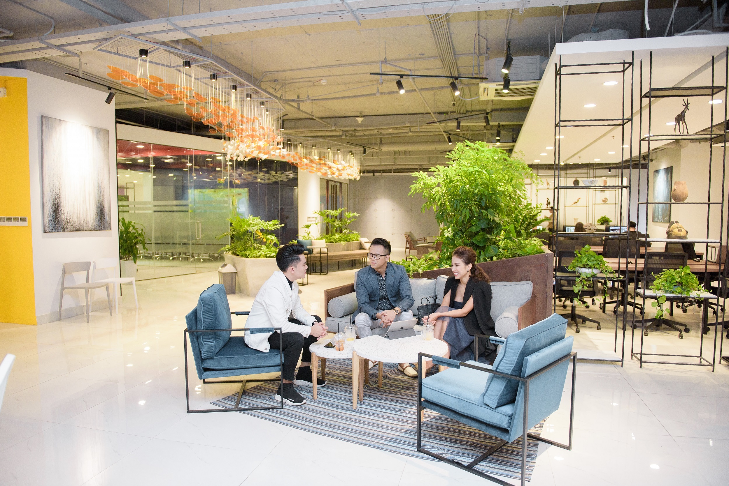 Y-nest ảnh 4 Y-nest anh 4