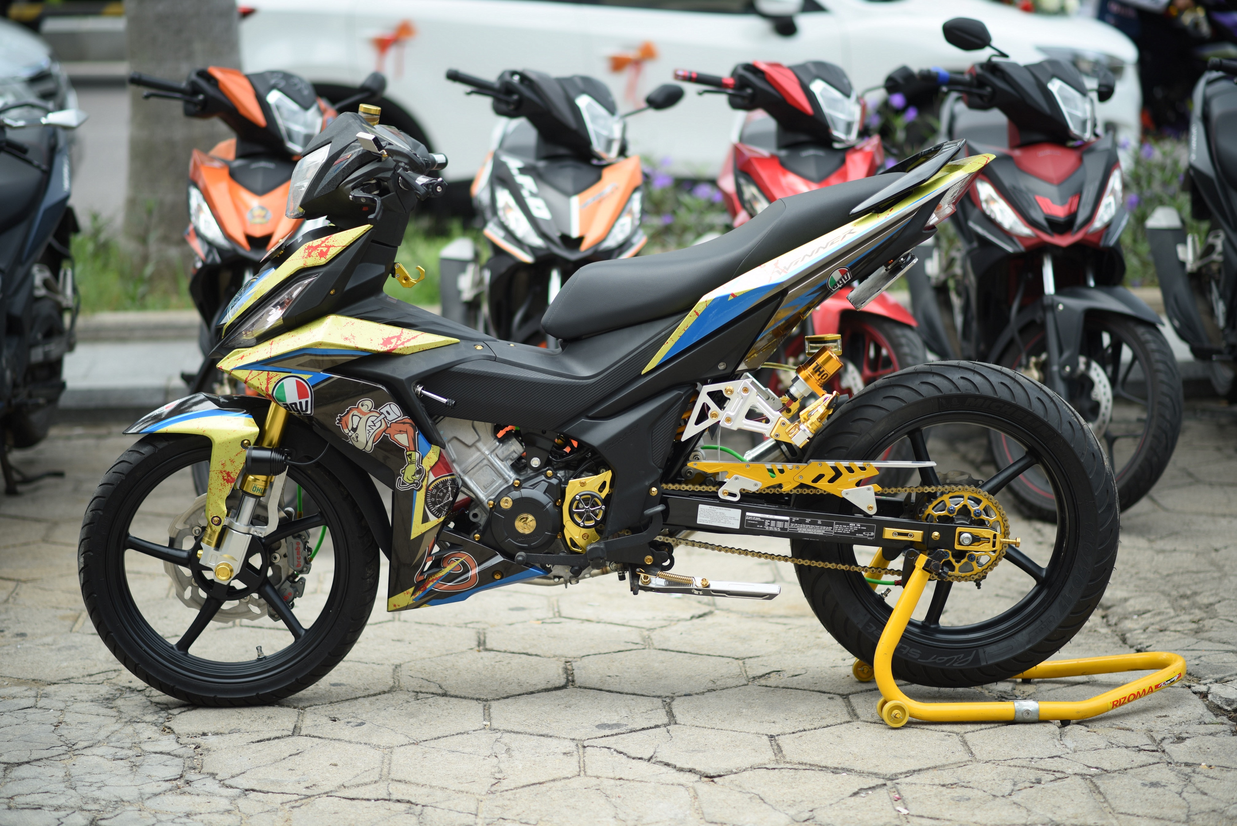 Dai hoi Winner 2017 anh 2