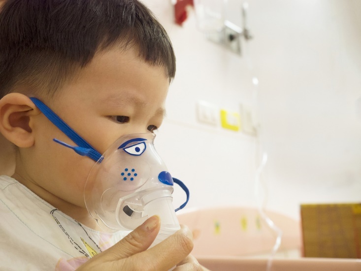 viêm phổi do vi khuẩn phế cầu ảnh 1 viem phoi do vi khuan phe cau anh 1