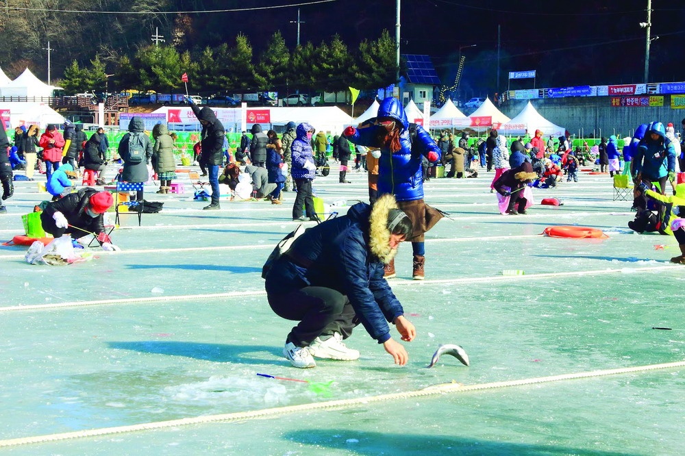 Vietravel ảnh 2 Vietravel anh 2