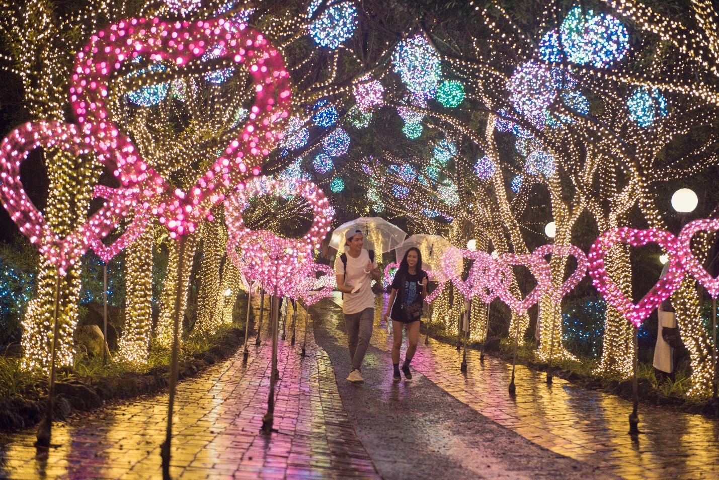 du lịch Jeju ảnh 1 du lich Jeju anh 1