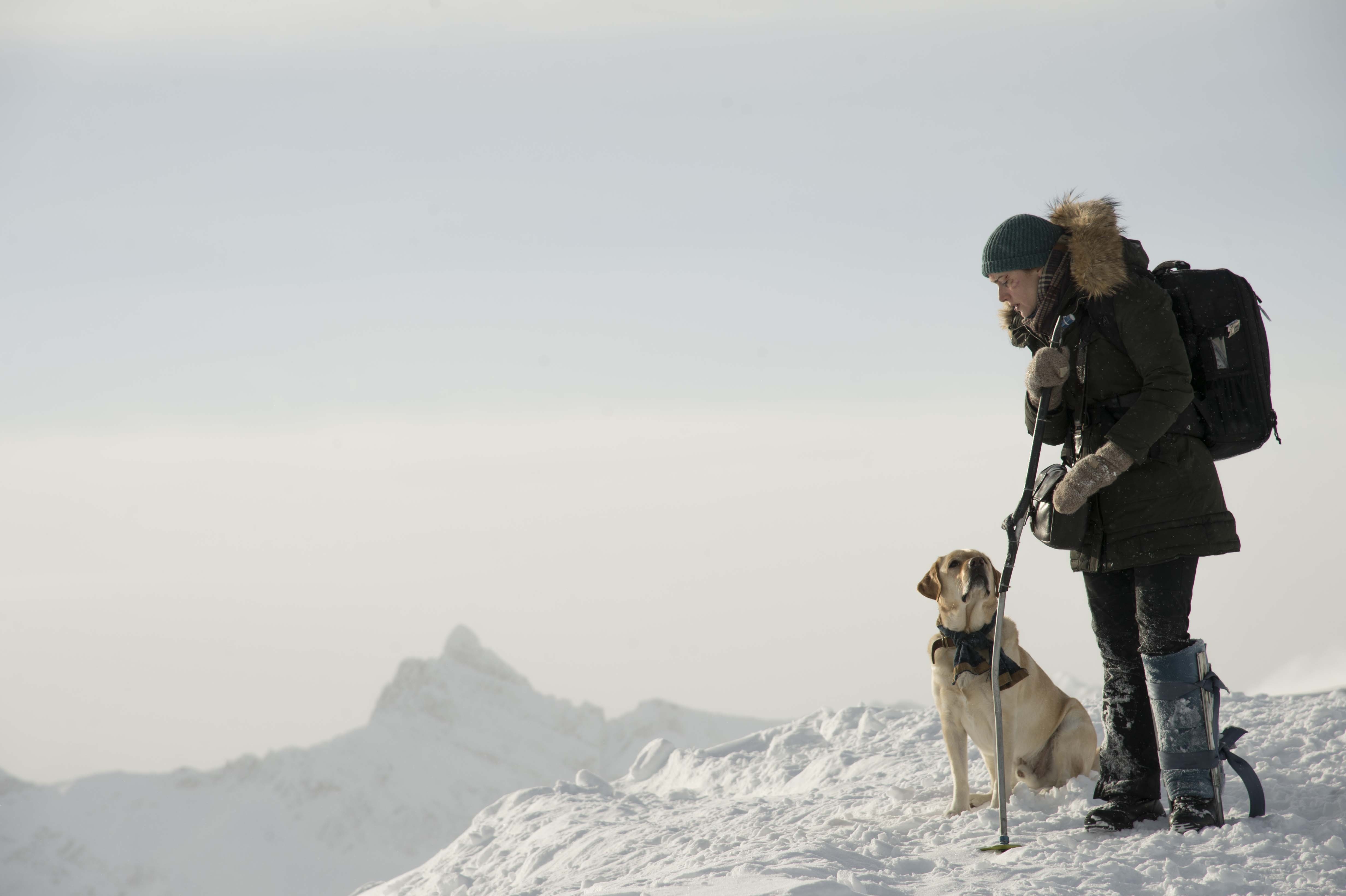 The mountain between us ảnh 3 The mountain between us anh 3