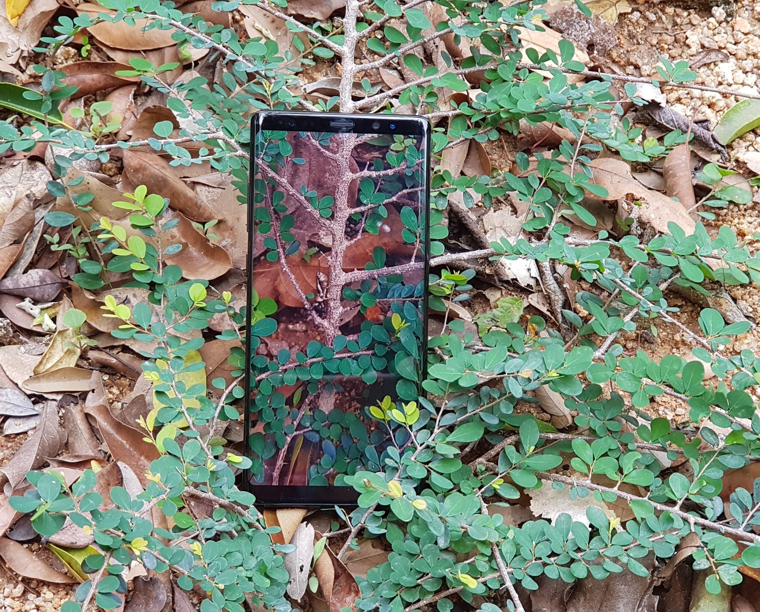 ảnh vô cực chụp bằng Samsung Galaxy Note 8 ảnh 6 anh vo cuc chup bang Samsung Galaxy Note 8 anh 6