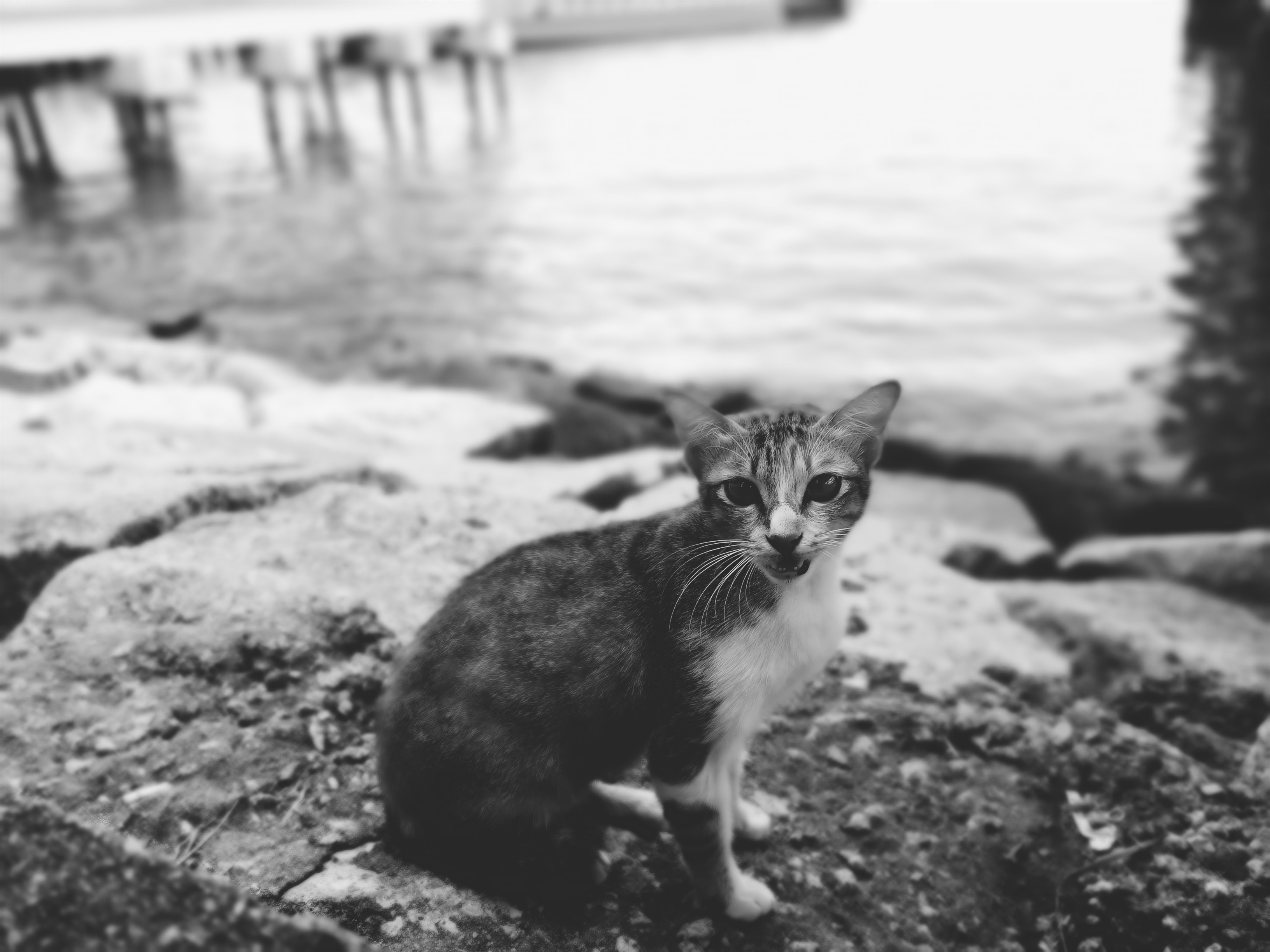 loat anh chup bang Galaxy J7+ anh 7