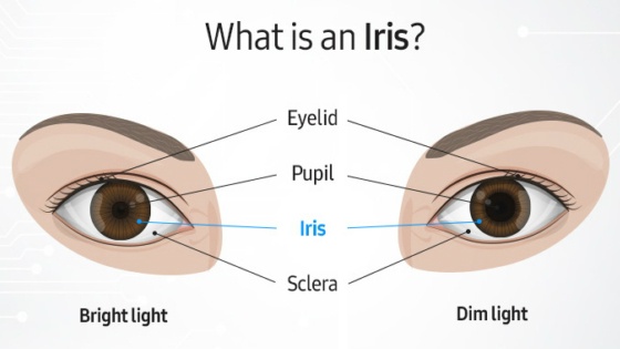 Note 8 bảo mật như thế nào ảnh 1 Note 8 bao mat nhu the nao anh 1