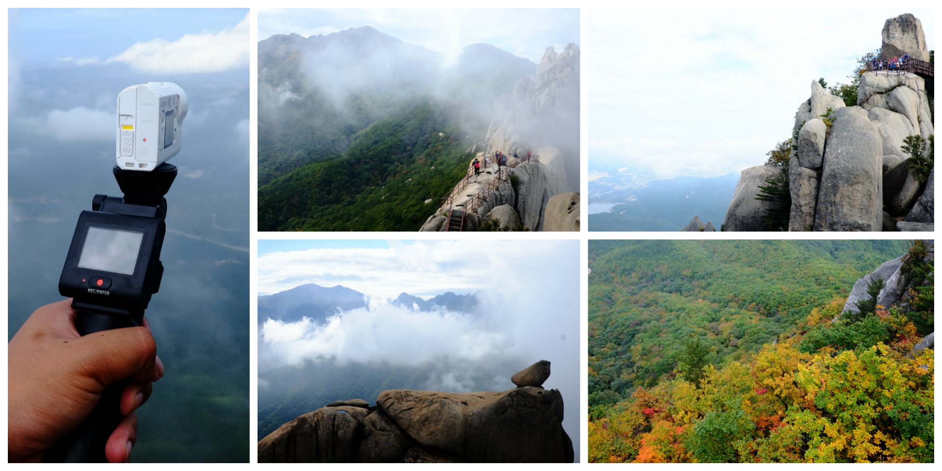 Han Quoc mua thu con co gi thu vi anh 5