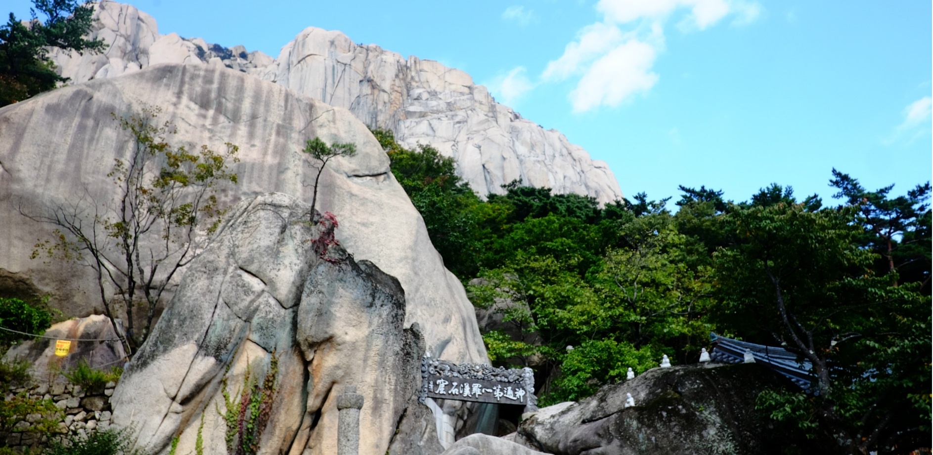 Han Quoc mua thu con co gi thu vi anh 4