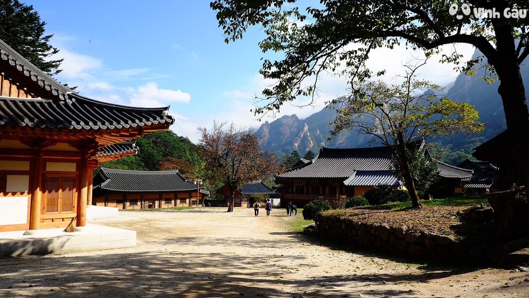 Ngoai la do, Han Quoc mua thu con co gi thu vi? hinh anh