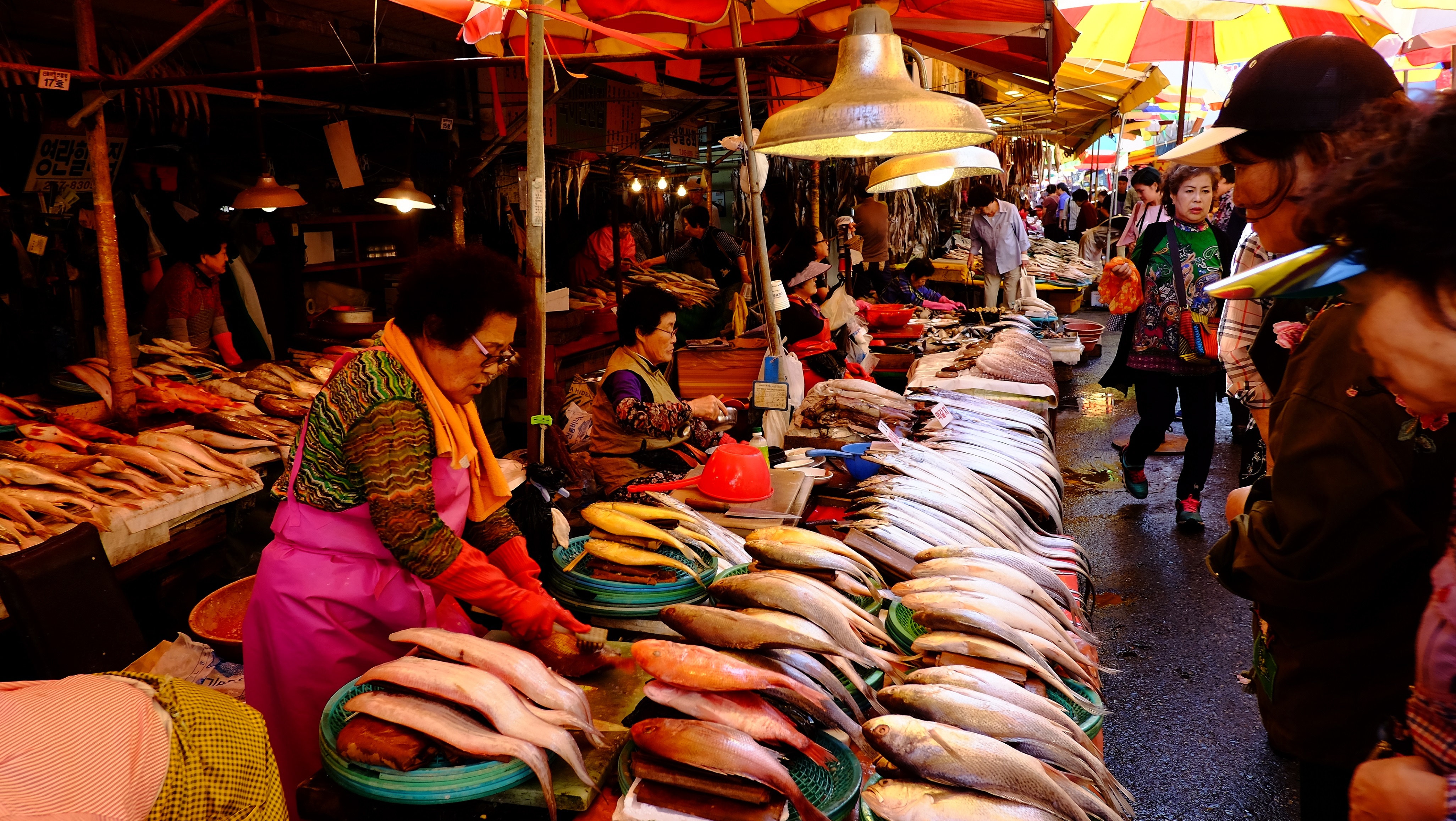 Han Quoc mua thu con co gi thu vi anh 2