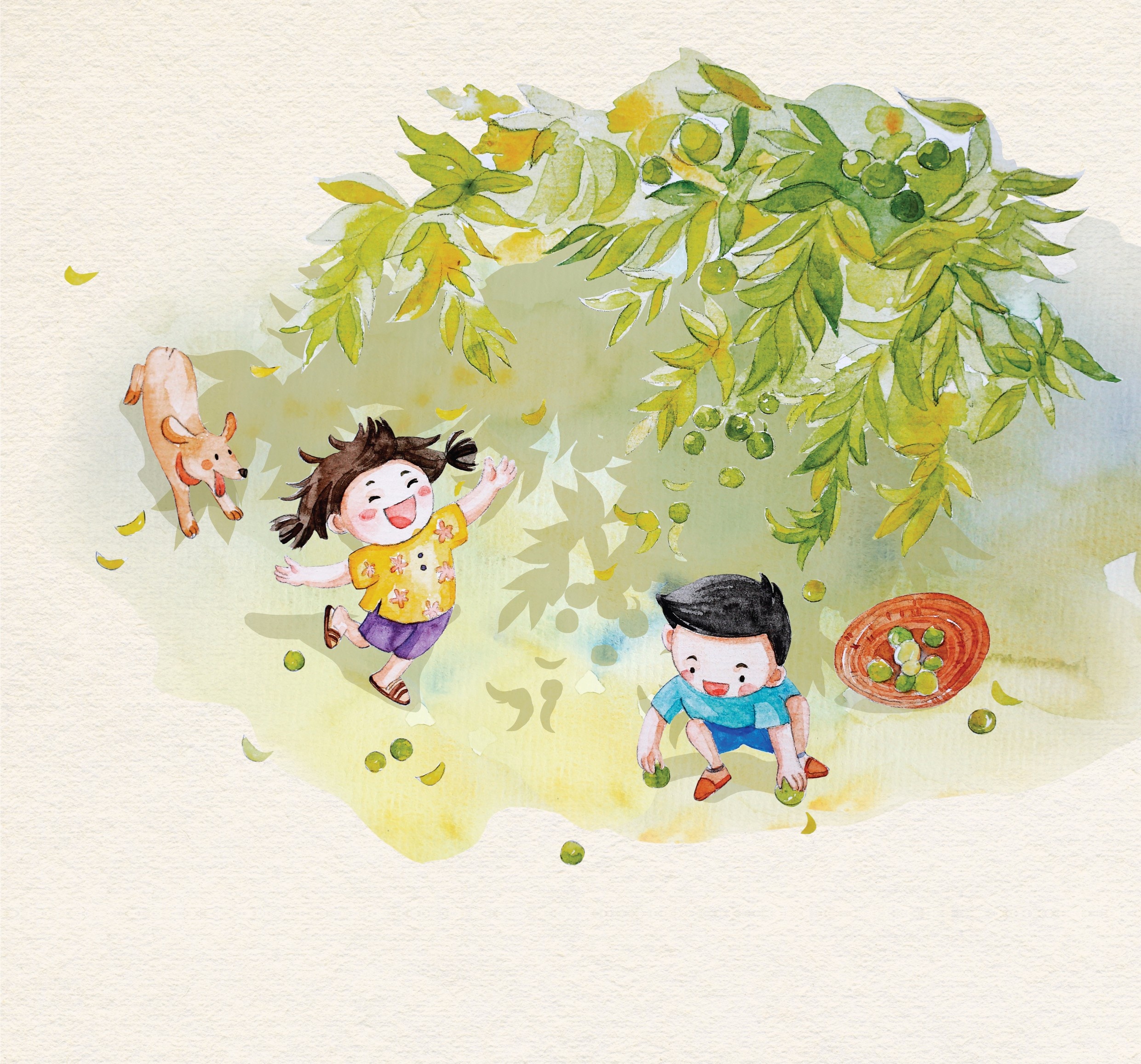 nuoc tuong Maggi anh 5