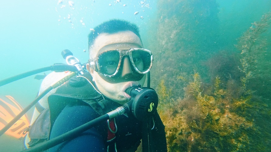 Han Quoc mua thu con co gi thu vi anh 8