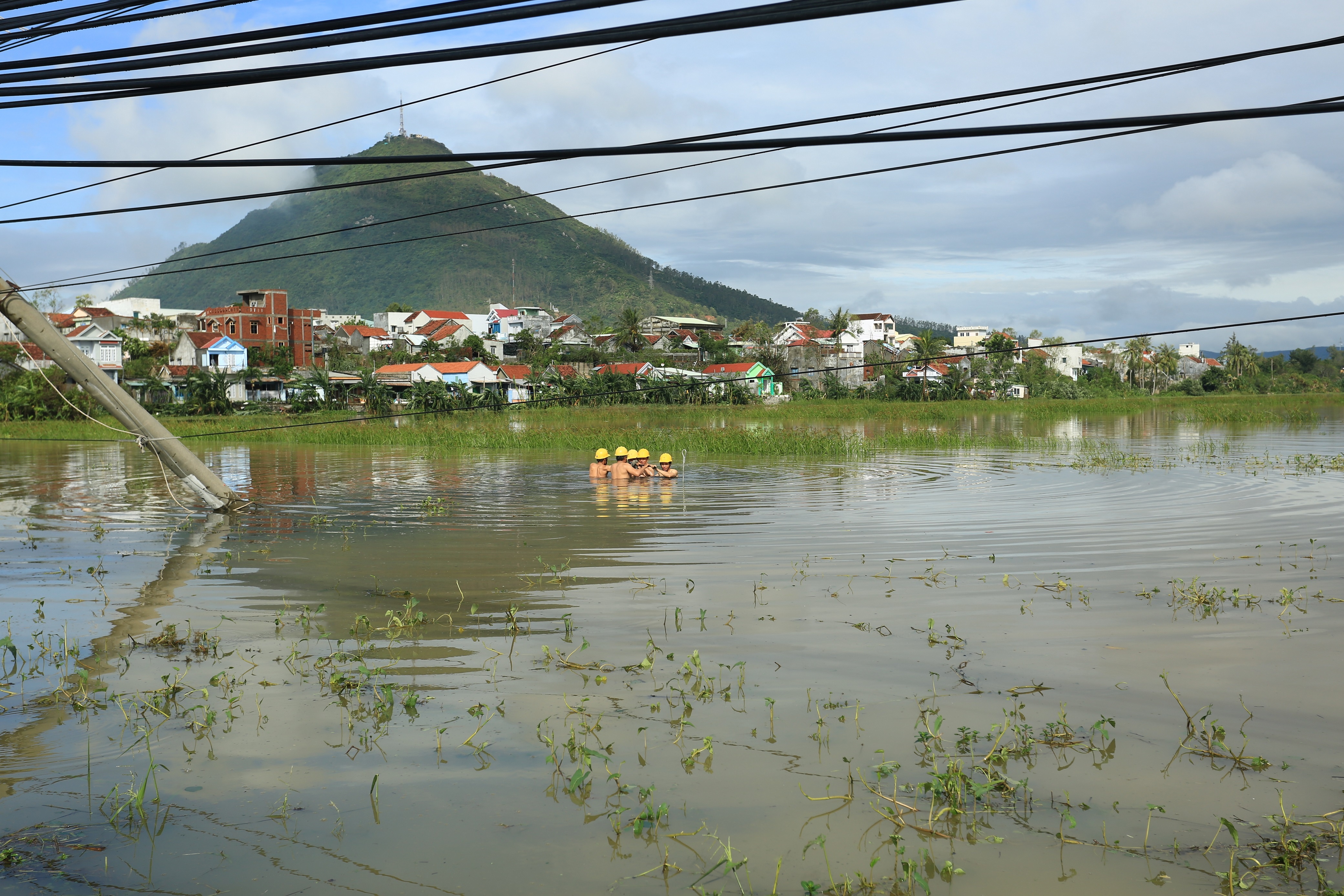 nganh dien khac phuc hau qua do bao so 12 anh 2