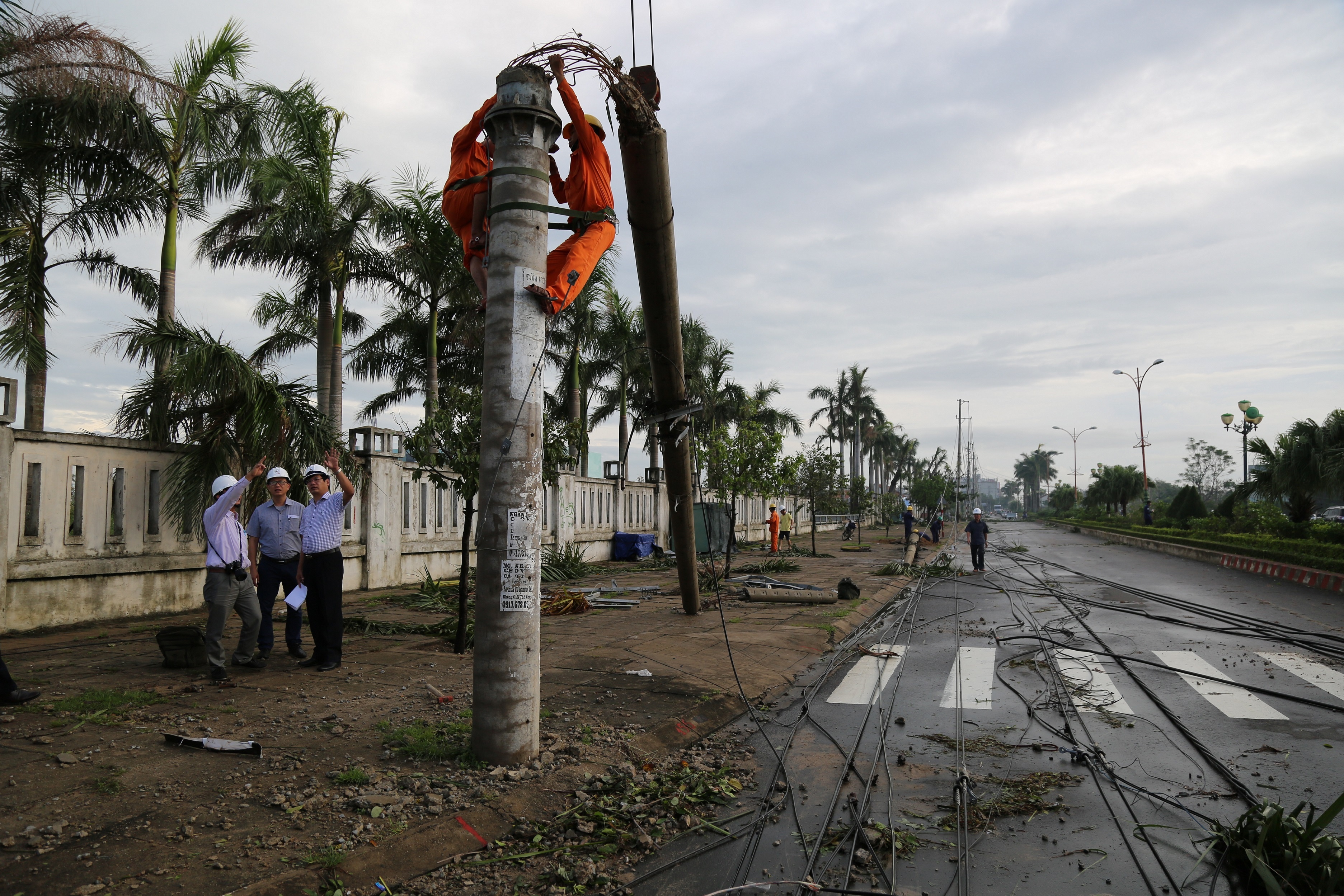 nganh dien khac phuc hau qua do bao so 12 anh 3