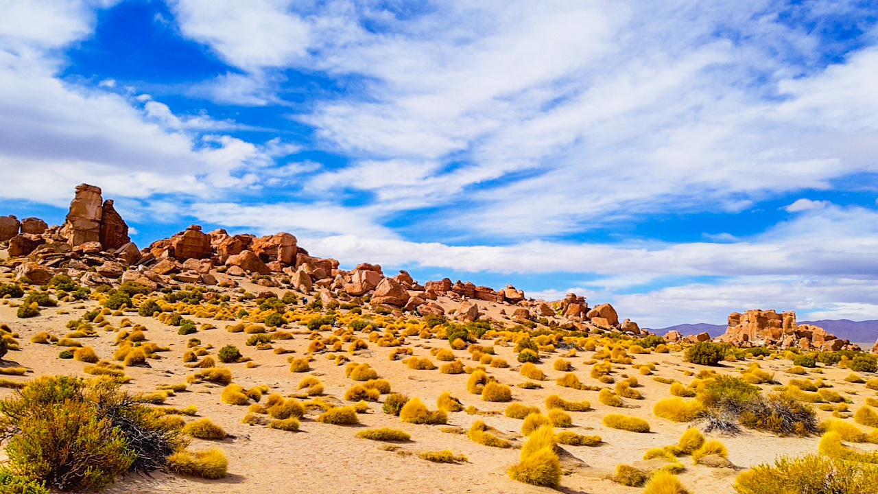 Nam My ky vi qua ong kinh blogger Dinh Hang anh 14