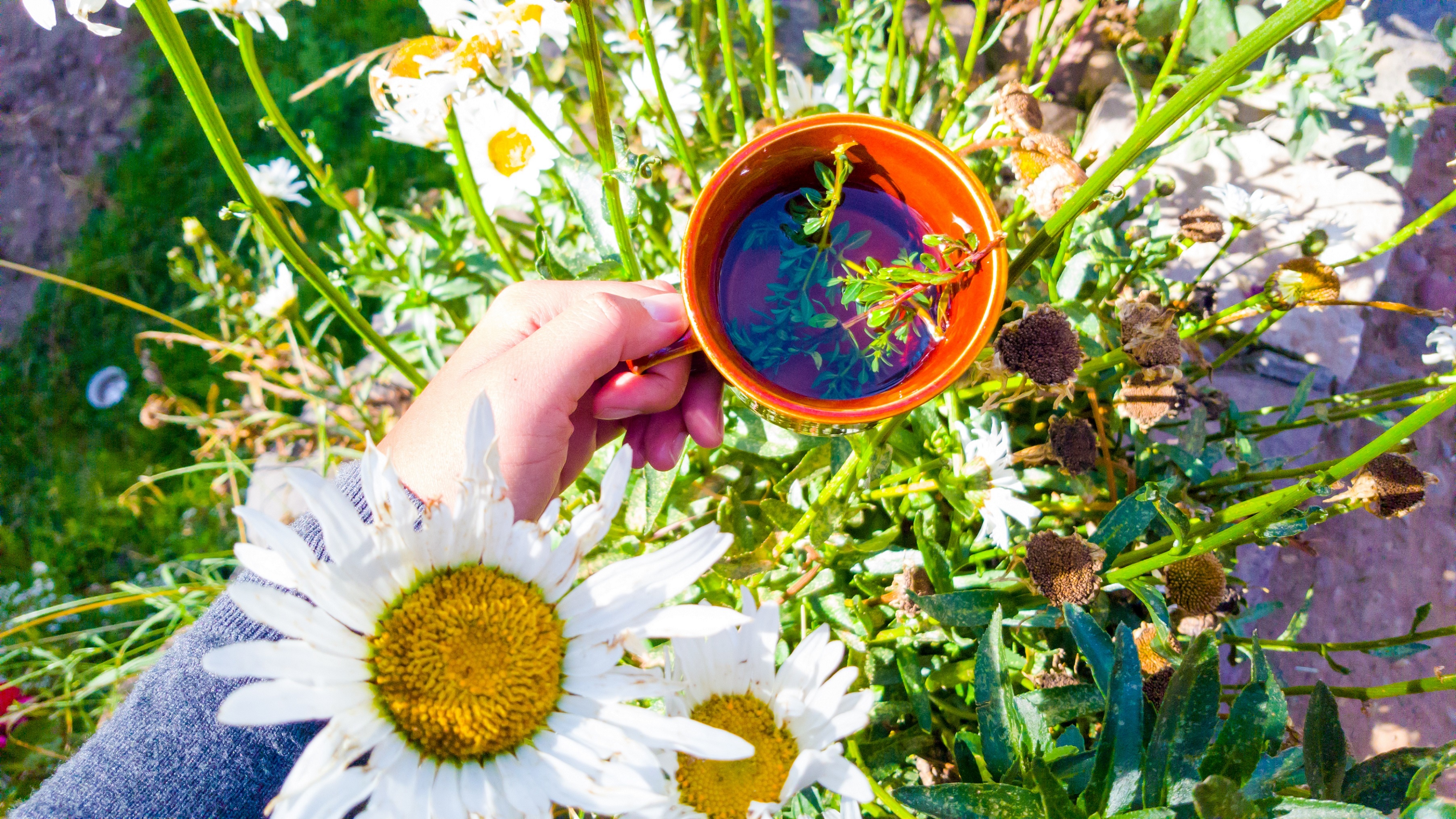 Nam My ky vi qua ong kinh blogger Dinh Hang anh 10