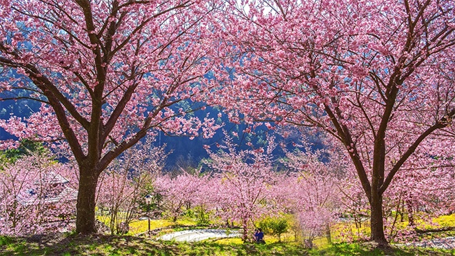 Intertour Viet Nam anh 3