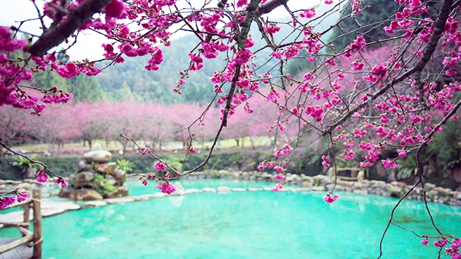 Ly do nhat dinh phai den Dai Loan mot lan trong doi hinh anh