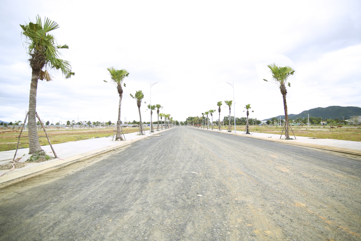 Đất Xanh Miền Trung ảnh 3 Dat Xanh Mien Trung anh 3