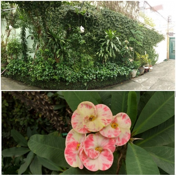 Vivo V7 ảnh 3 Vivo V7 anh 3