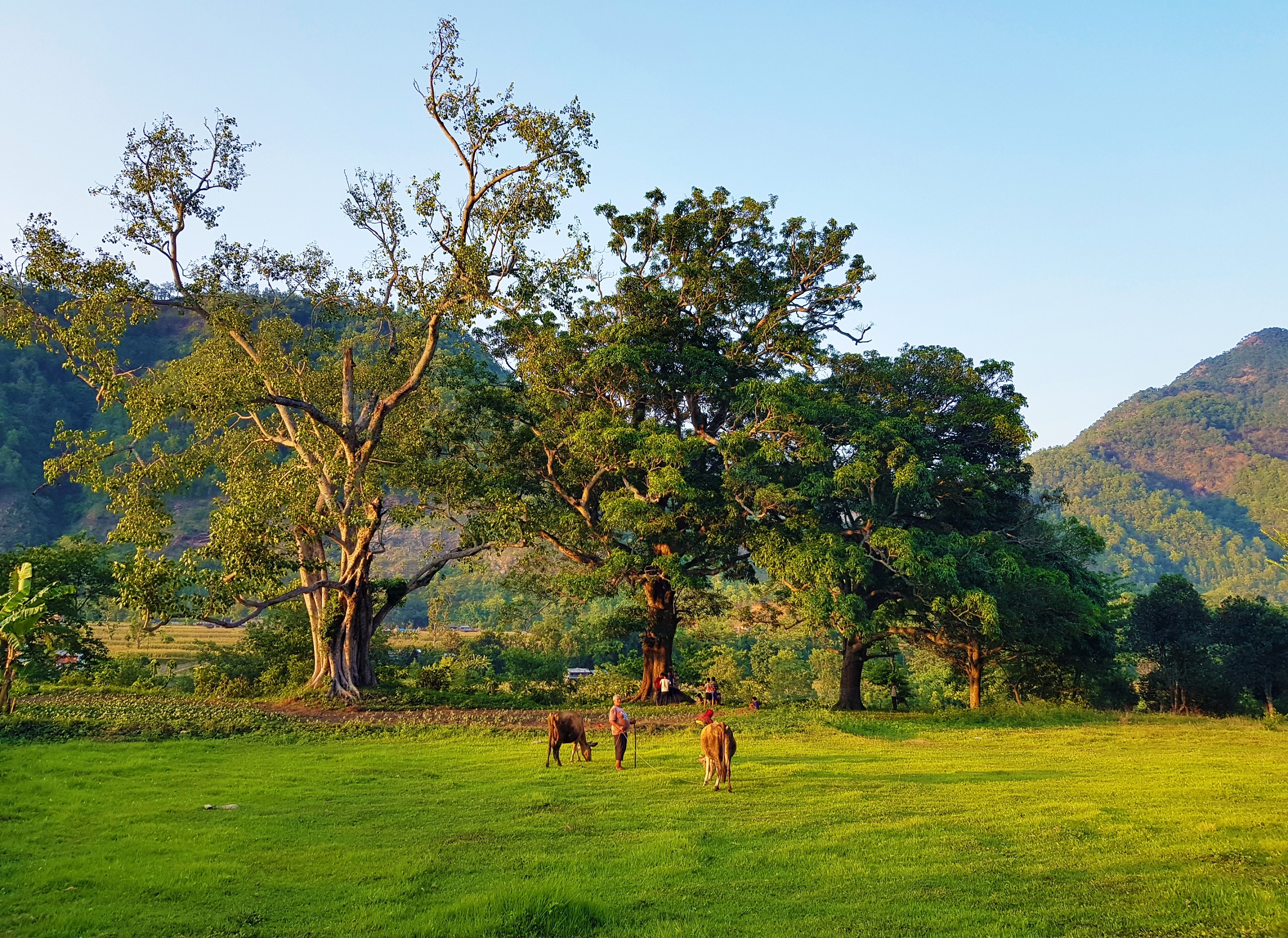 Galaxy Note 8 anh 16