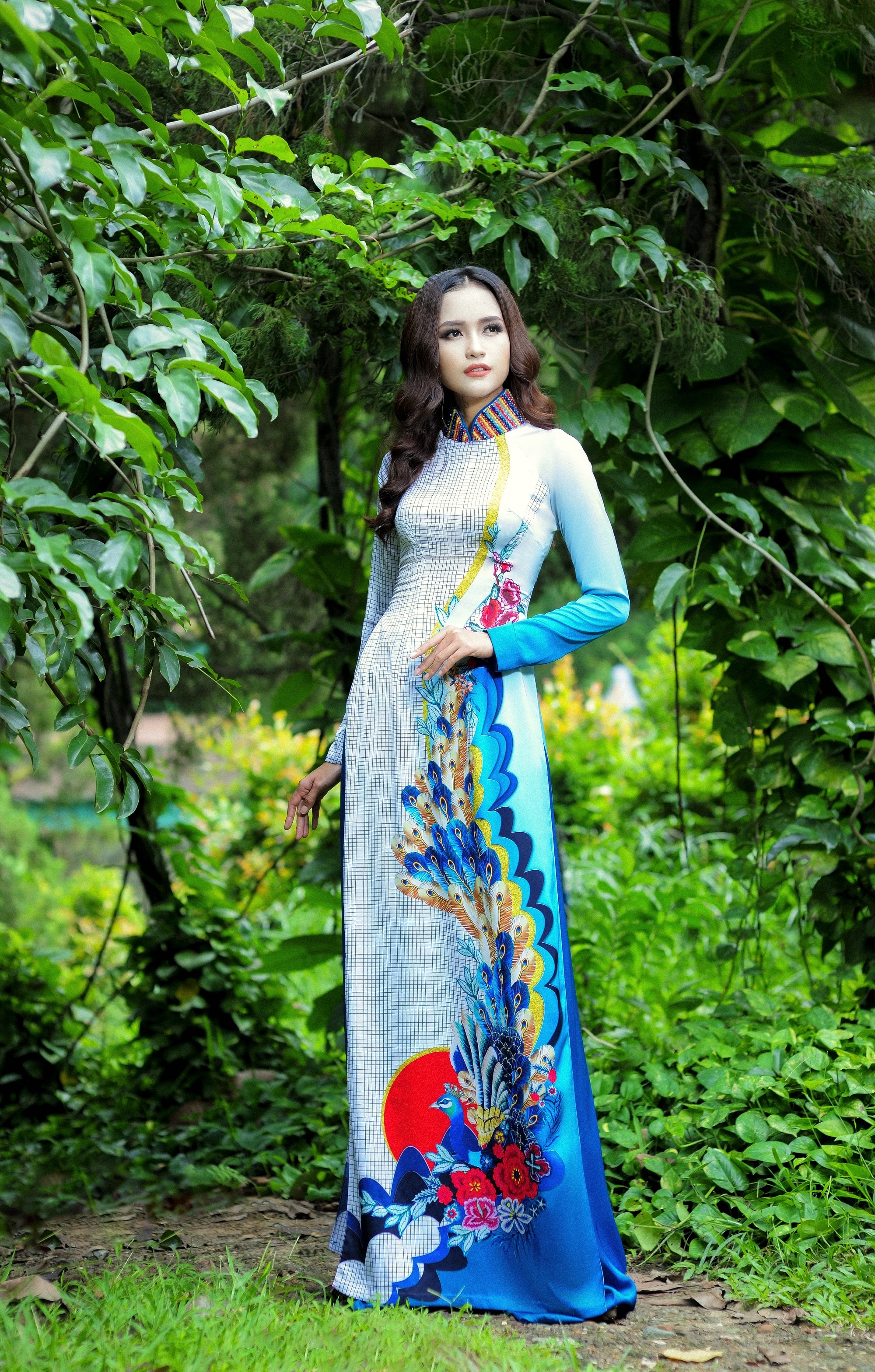 BST áo dài họa tiết chim công cách điệu ảnh 1 BST ao dai hoa tiet chim cong cach dieu anh 1