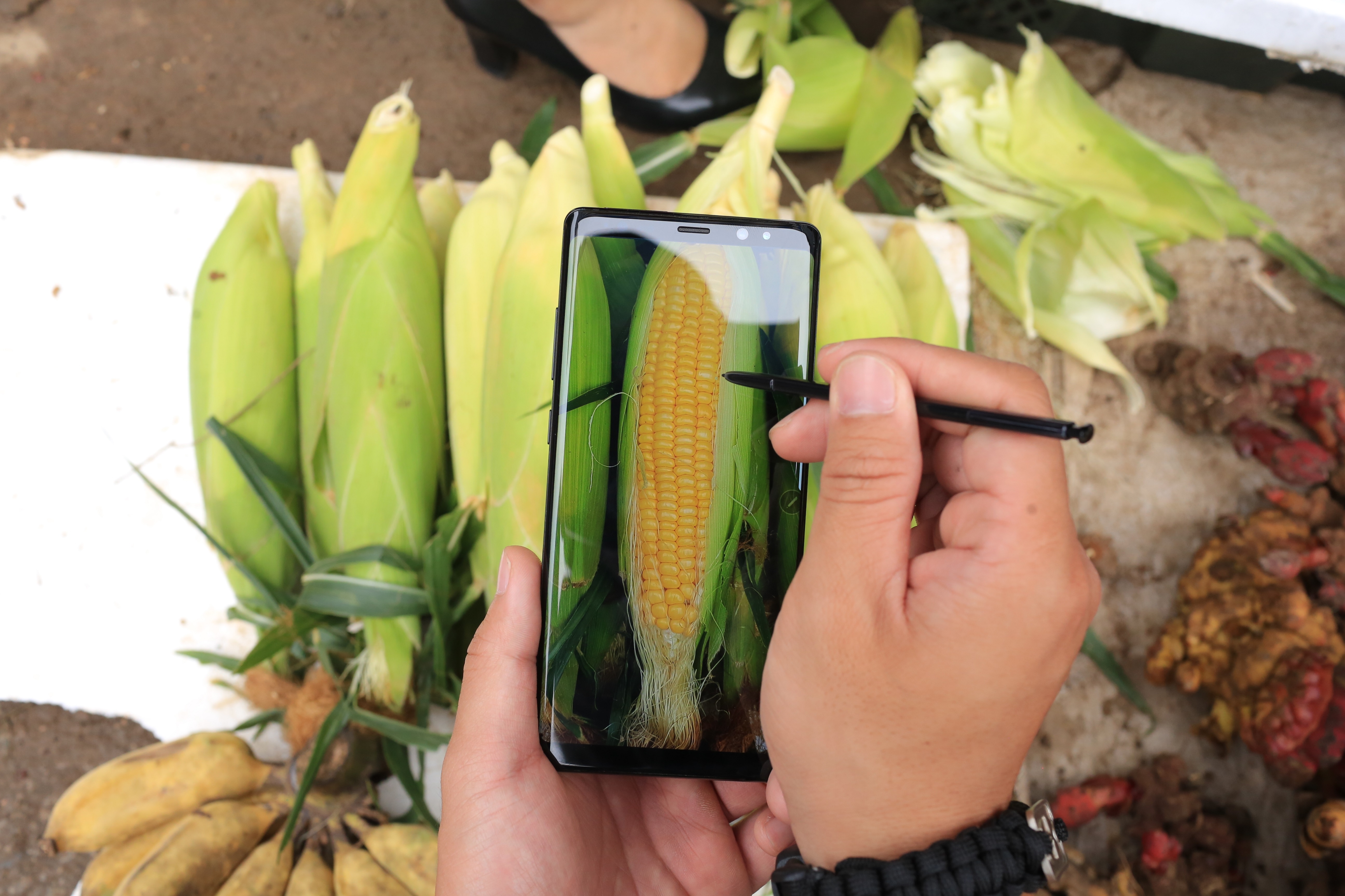 4 goi y chup anh du lich ‘nghin like’ hinh anh