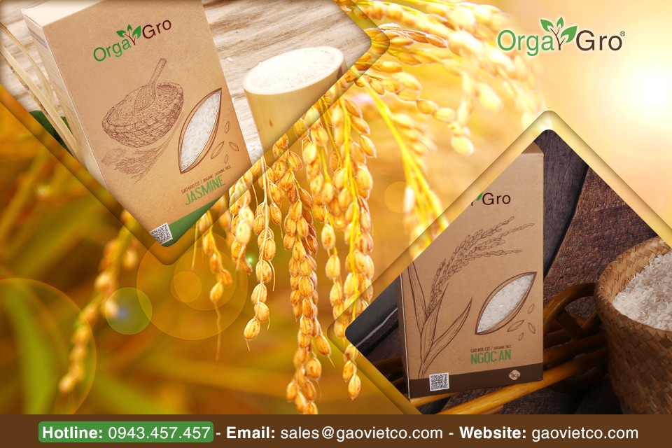 Gạo Việt ảnh 3 Gao Viet anh 3