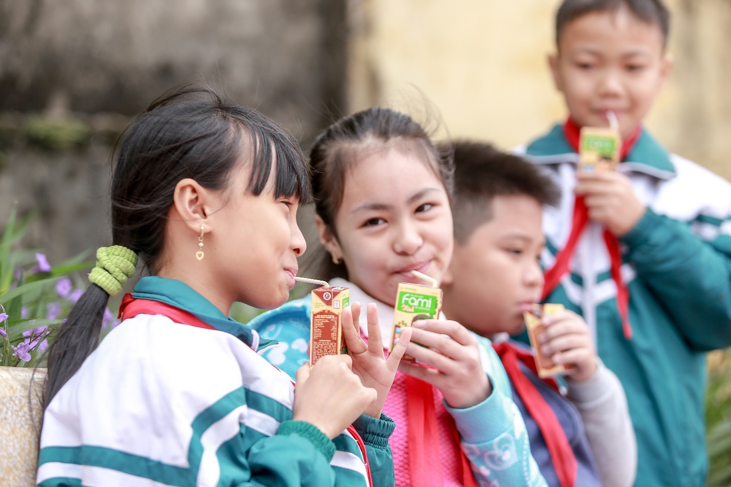 Vinasoy  ảnh 4 Vinasoy anh 4