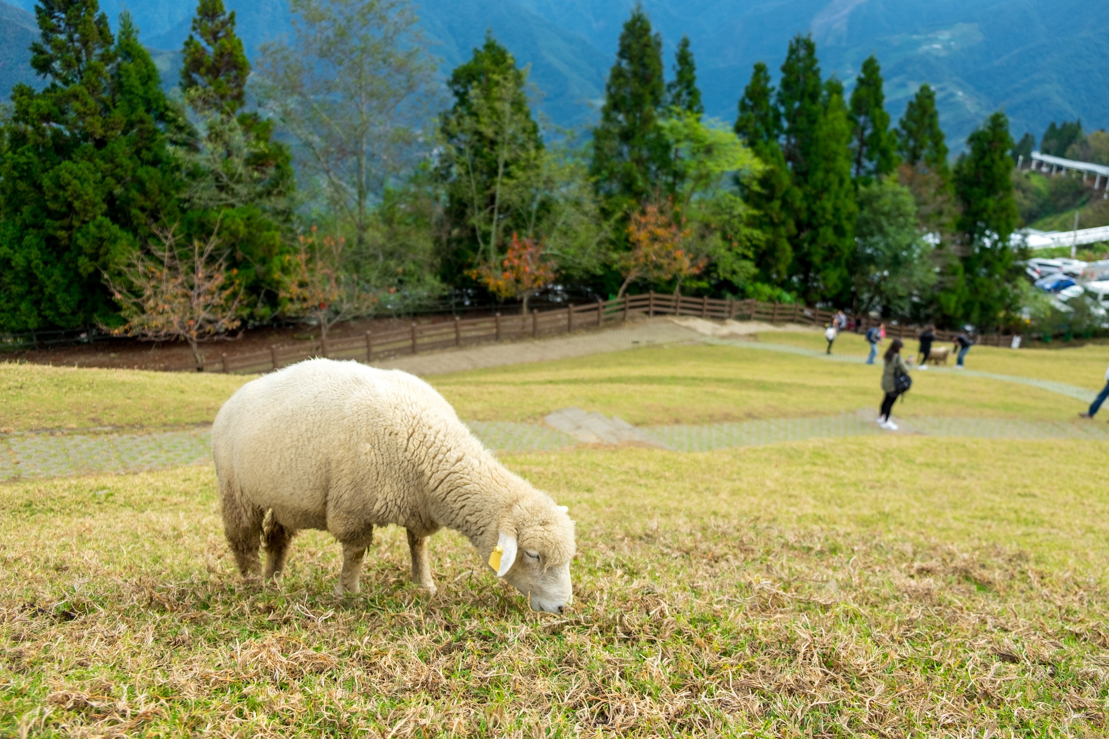 Taiwan - A wonderful journey ảnh 14 Taiwan - A wonderful journey anh 14