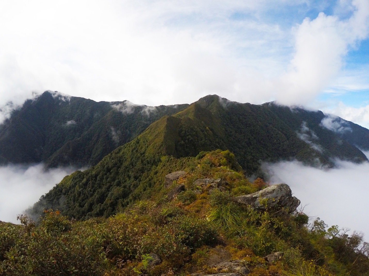 Mimax4G ảnh 1 Mimax4G anh 1