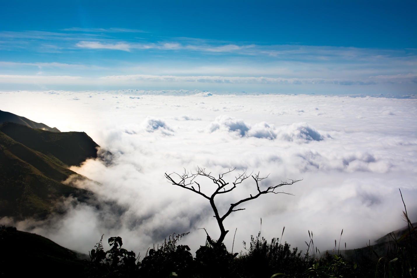 Mimax4G ảnh 2 Mimax4G anh 2