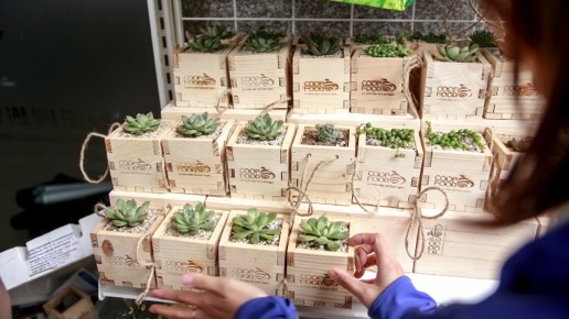 Ra mat tai Ha Noi, Co.op Food tang sen da tri an khach hang hinh anh