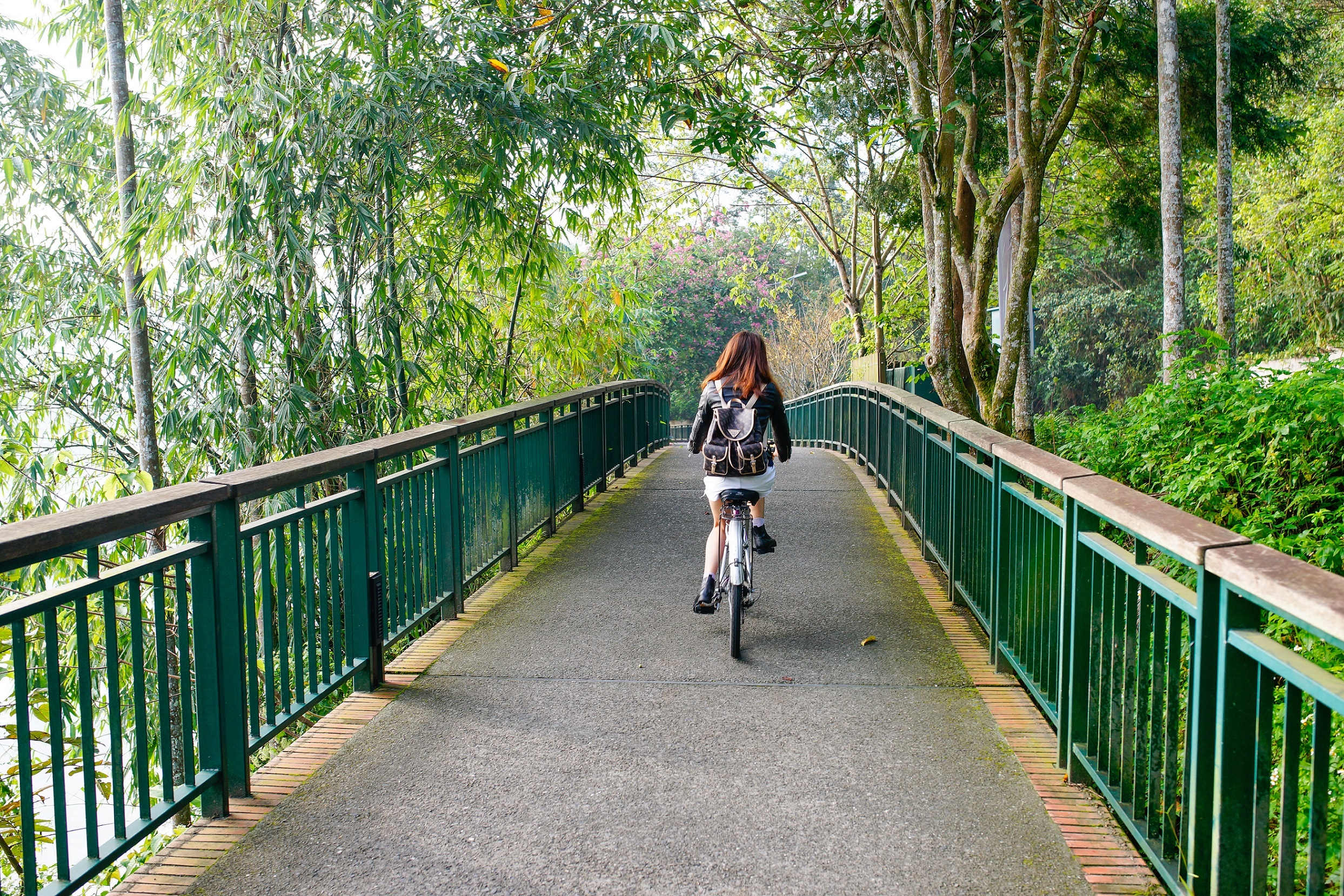 Taiwan - A wonderful journey ảnh 8 Taiwan - A wonderful journey anh 8