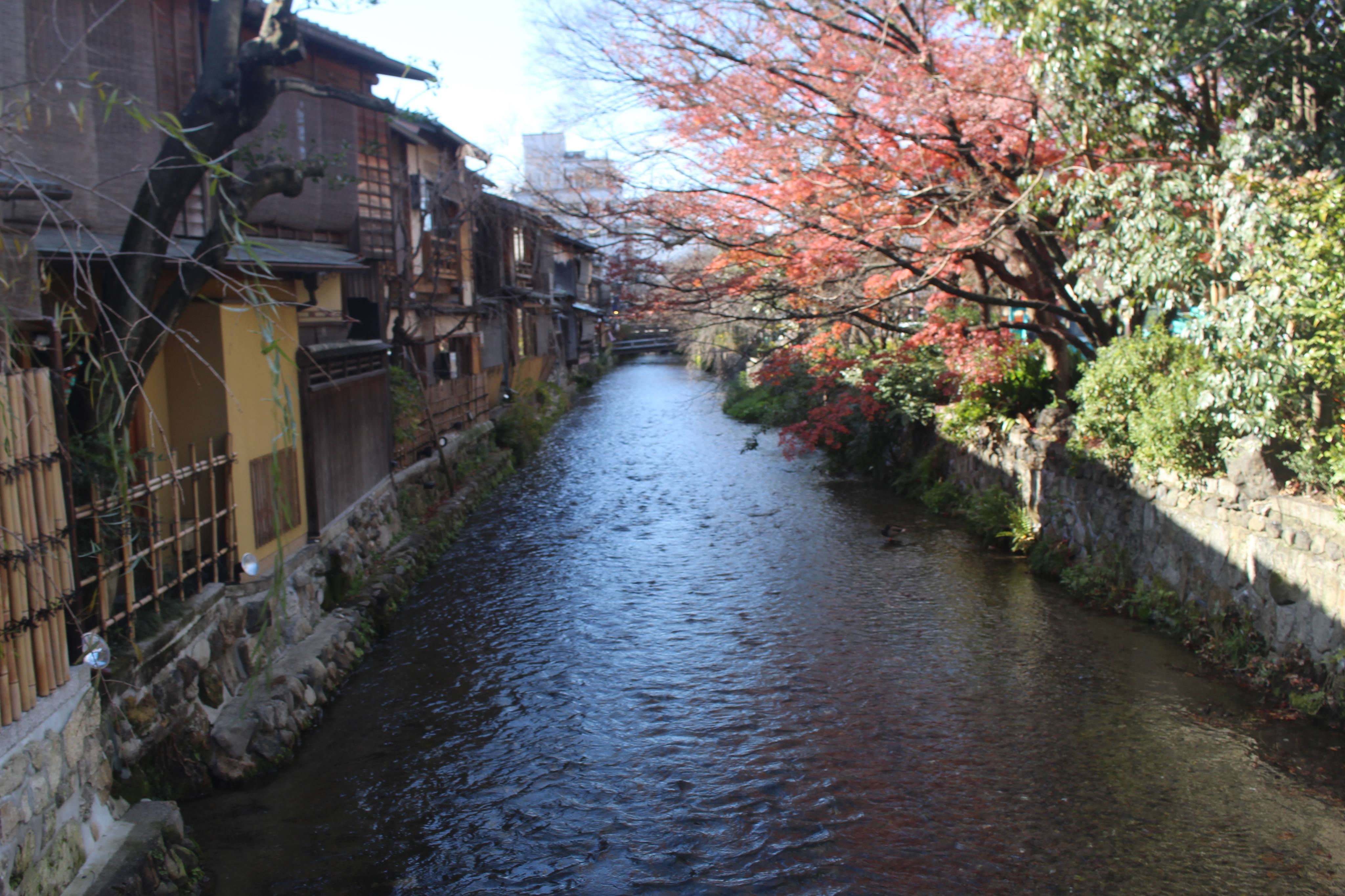 Yumeyakata Kyoto anh 1