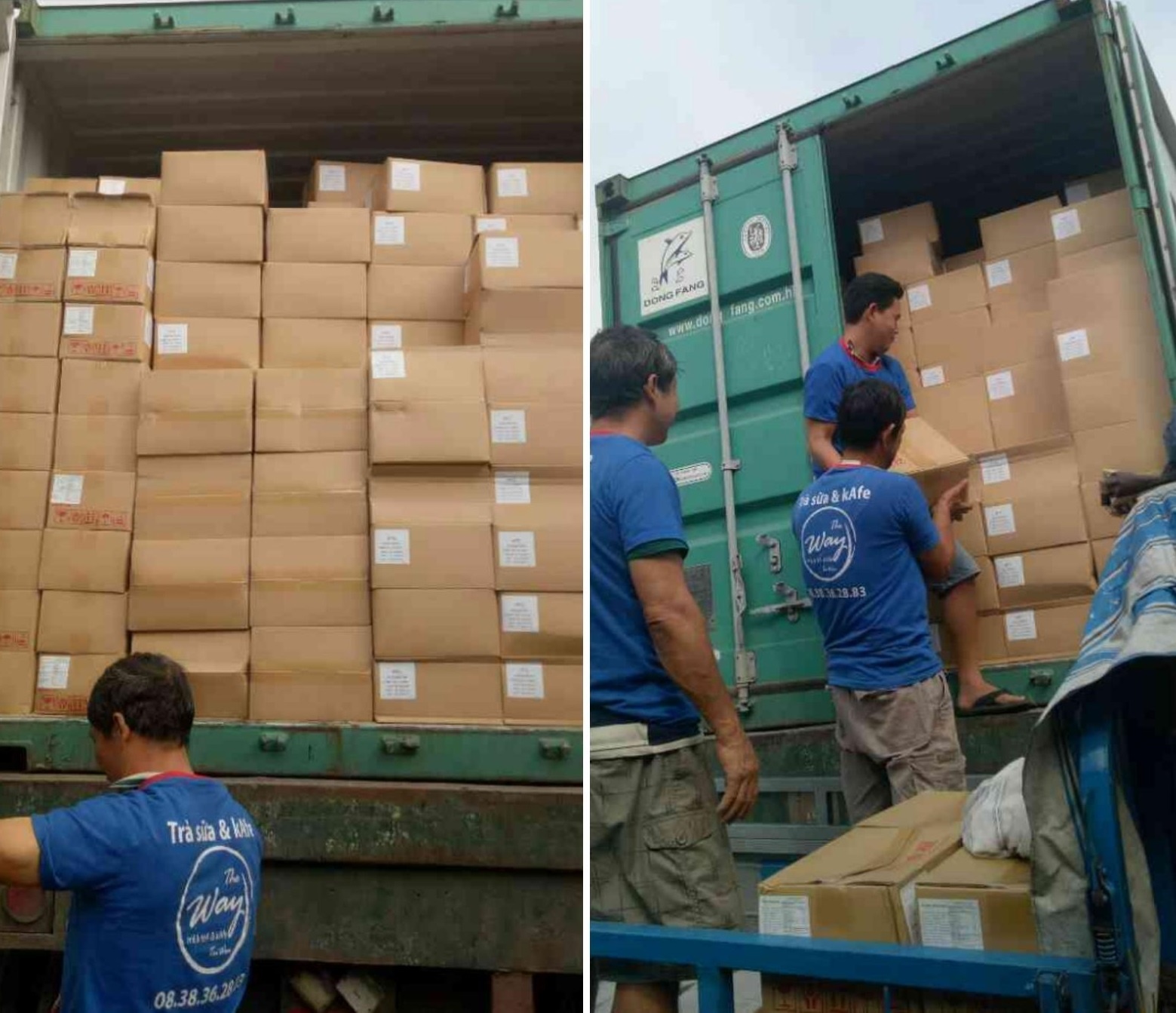 The Way Tea ảnh 3 The Way Tea anh 3