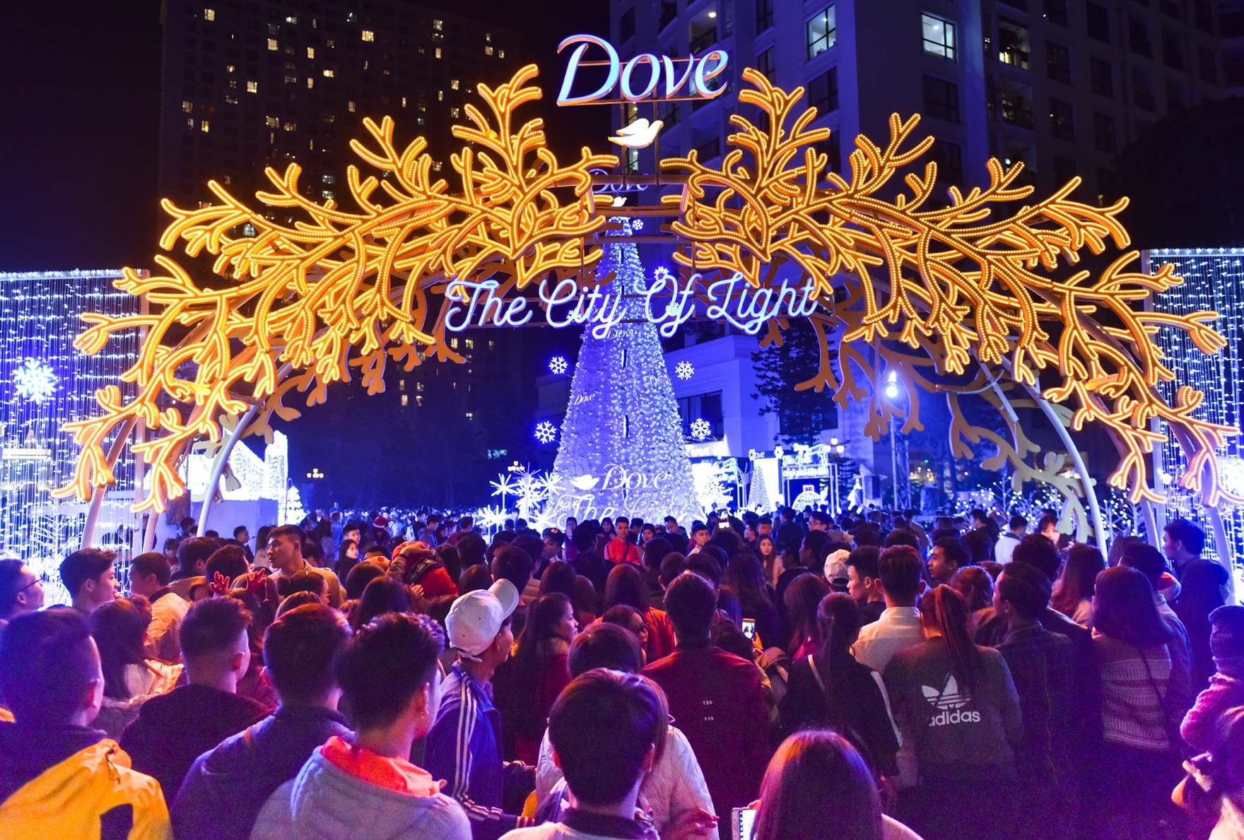Dove City of lights anh 12