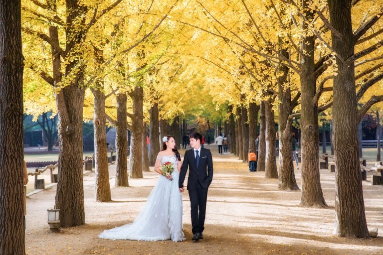 Sumi Studio - noi khoi nguon cua nhung yeu thuong hinh anh