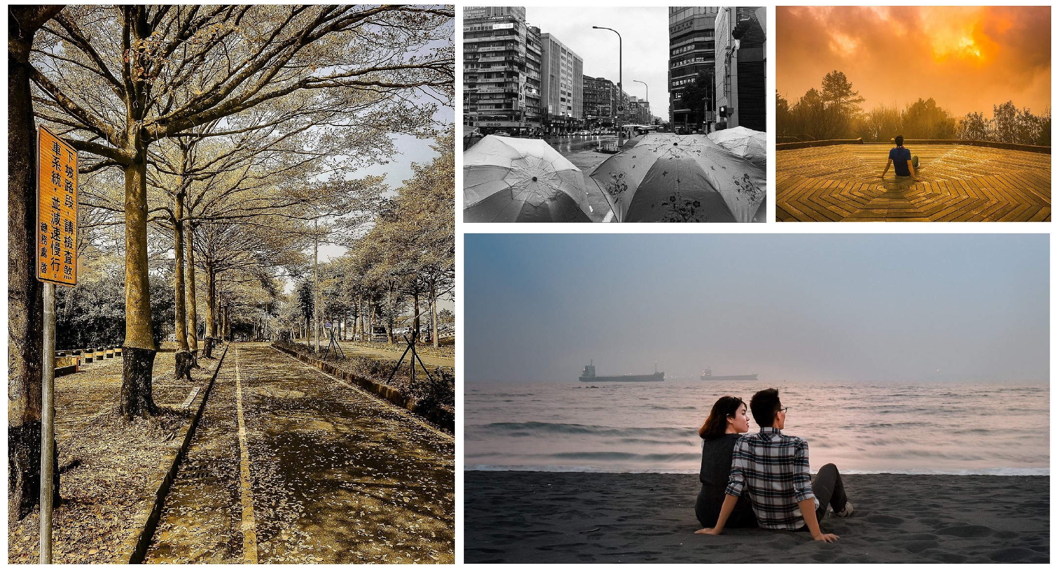 Taiwan - A Wonderful Journey ảnh 7 Taiwan - A Wonderful Journey anh 7