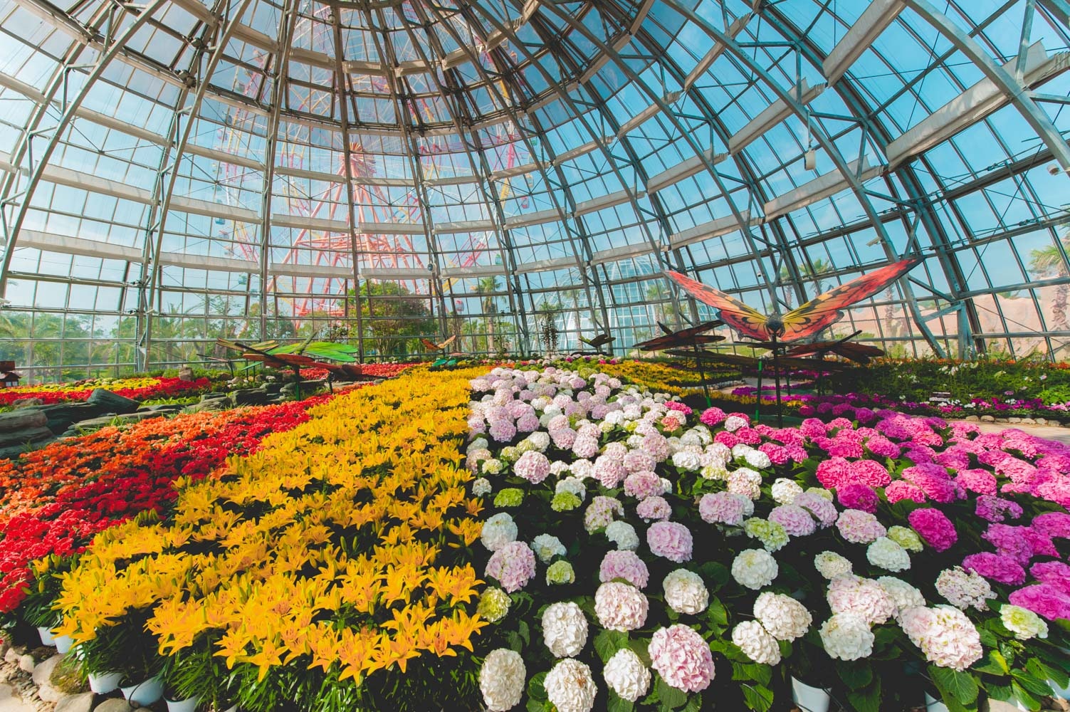 Don nam 2018 voi hon 90 diem check-in tai Vinpearl Land hinh anh