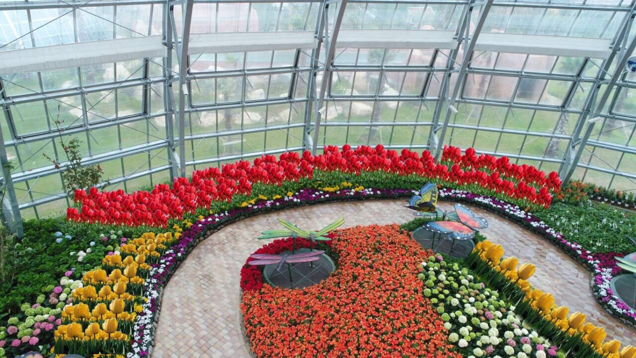 Vinpearl Land Nha Trang anh 4