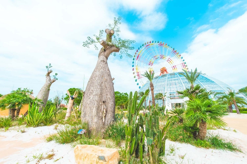 Vinpearl Land Nha Trang anh 5