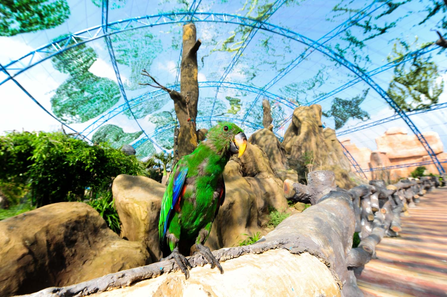 Vinpearl Land Nha Trang anh 7