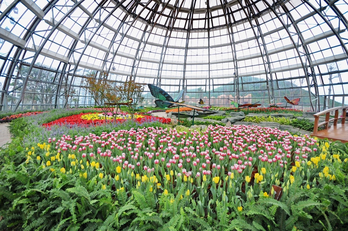 Vinpearl Land Nha Trang anh 4