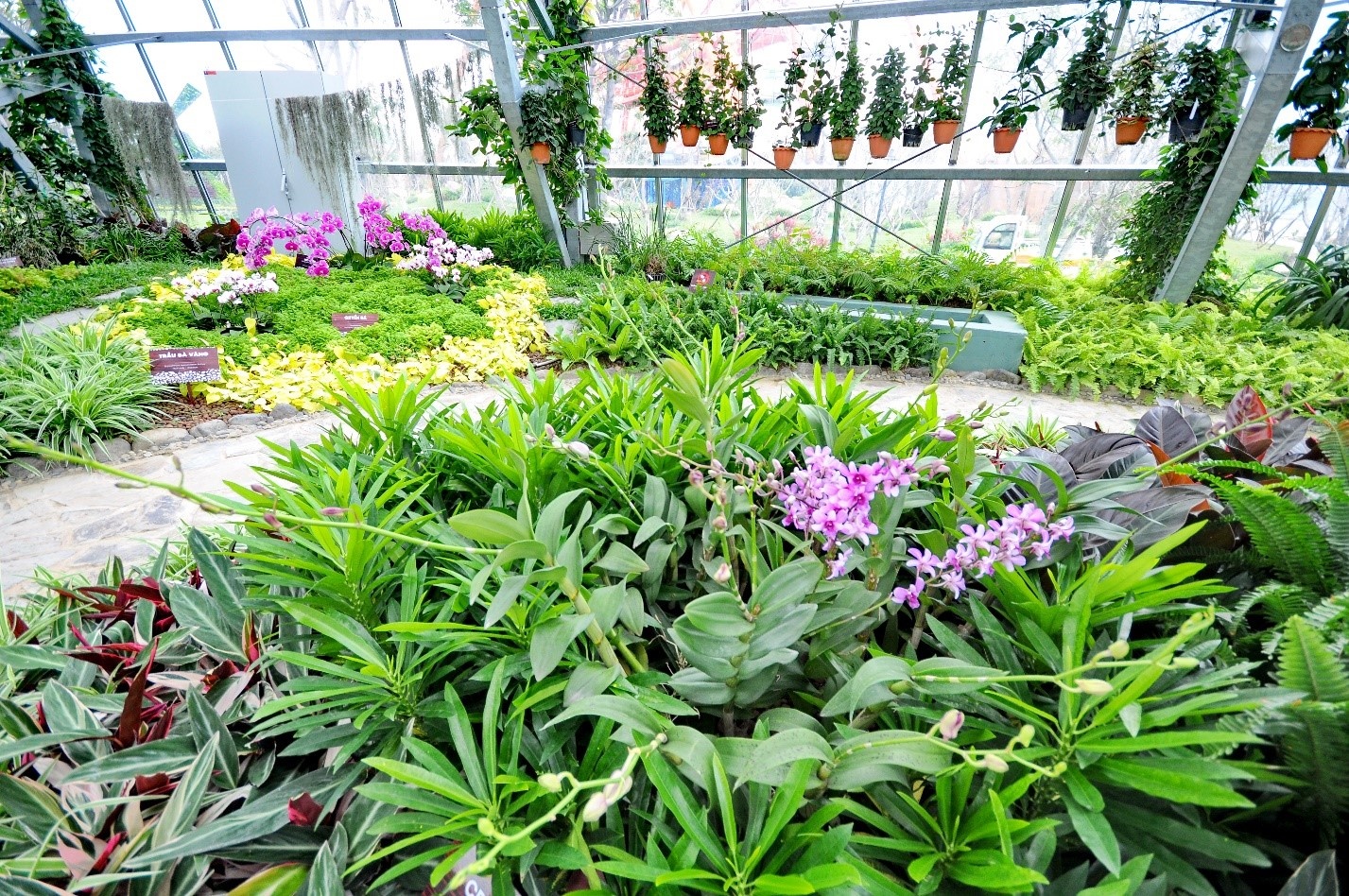 Vinpearl Land Nha Trang anh 7